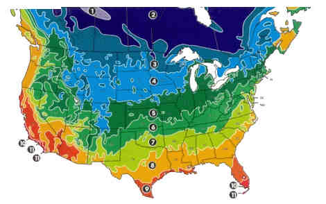 2ShopTrees.com Zone Map for trees in the United States.